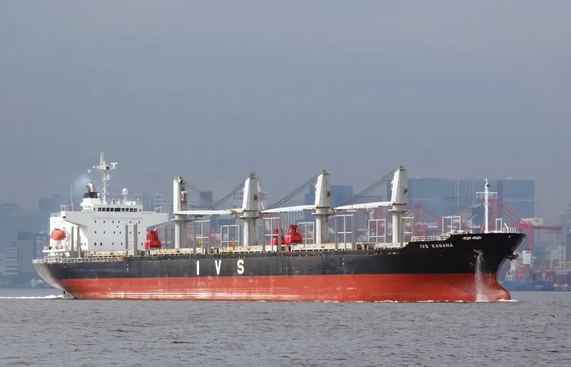QUEEN LILA Bulk Carrier IMO 9303376 photo 10