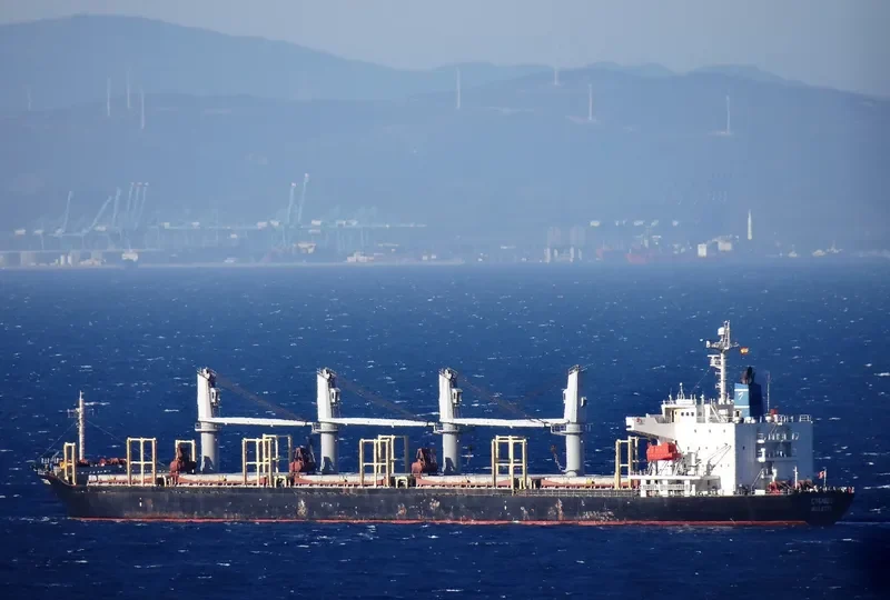 CYGNUS Bulk Carrier IMO 9303388 photo 2
