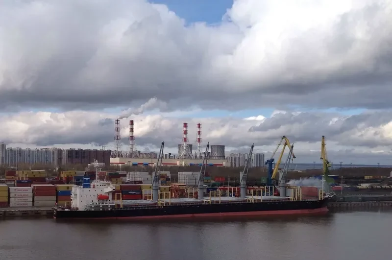 CYGNUS Bulk Carrier IMO 9303388 photo 4