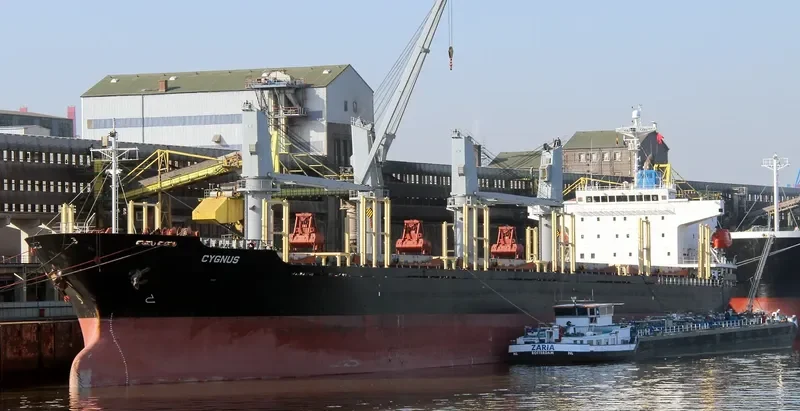 CYGNUS Bulk Carrier IMO 9303388 photo 5