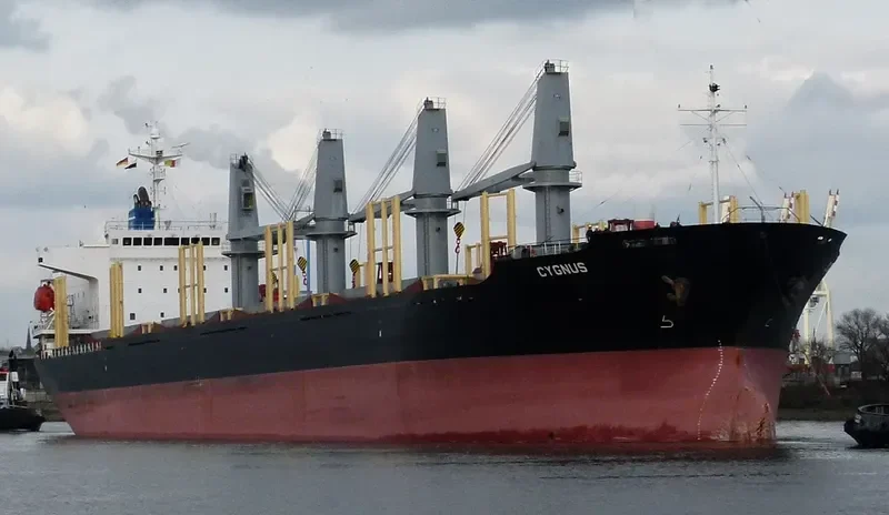 CYGNUS Bulk Carrier IMO 9303388 photo 7