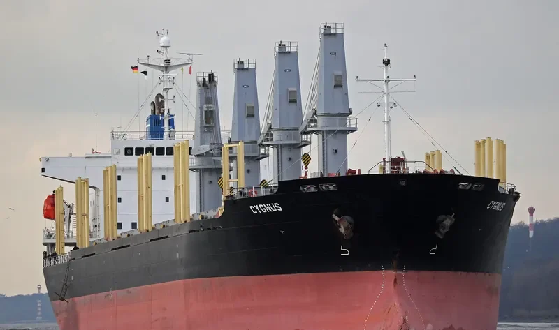CYGNUS Bulk Carrier IMO 9303388 photo 8