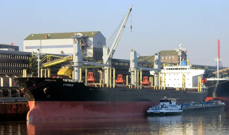 CYGNUS Bulk Carrier IMO 9303388 photo 9