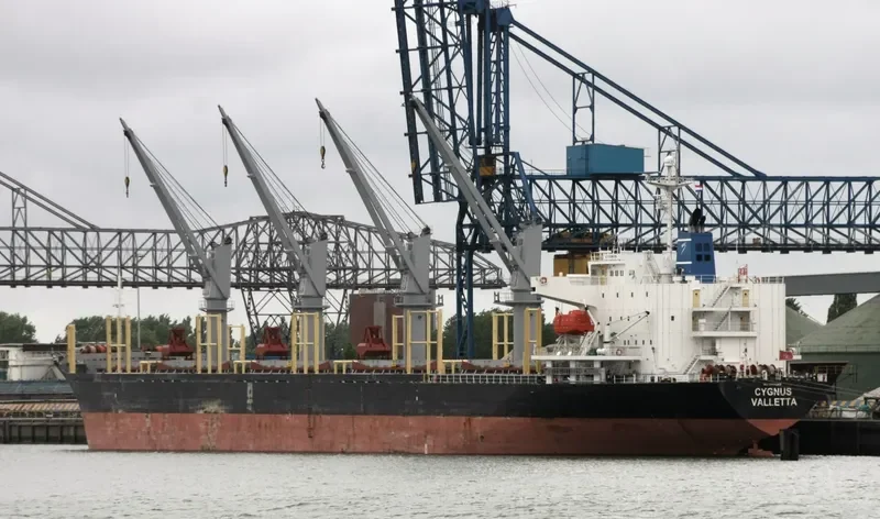CYGNUS Bulk Carrier IMO 9303388 photo 10