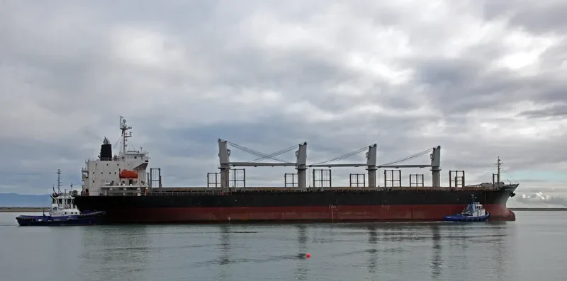 HAPPY HIRO Bulk Carrier IMO 9303390 photo 2