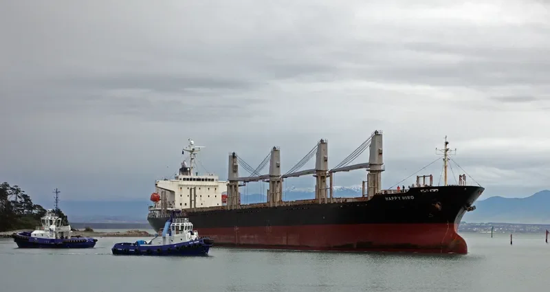 HAPPY HIRO Bulk Carrier IMO 9303390 photo 3