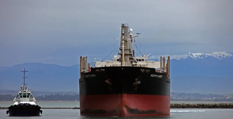 HAPPY HIRO Bulk Carrier IMO 9303390 photo 4