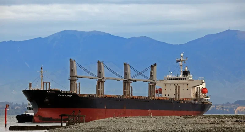 HAPPY HIRO Bulk Carrier IMO 9303390 photo 5