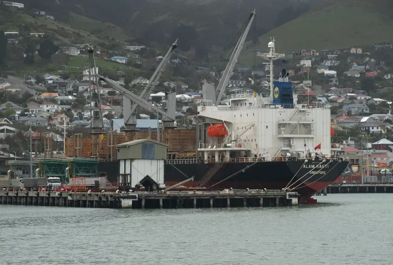 HAPPY HIRO Bulk Carrier IMO 9303390 photo 6