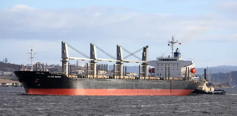 HAPPY HIRO Bulk Carrier IMO 9303390 photo 8