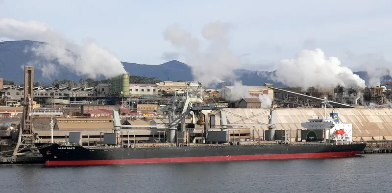 HAPPY HIRO Bulk Carrier IMO 9303390 photo 9