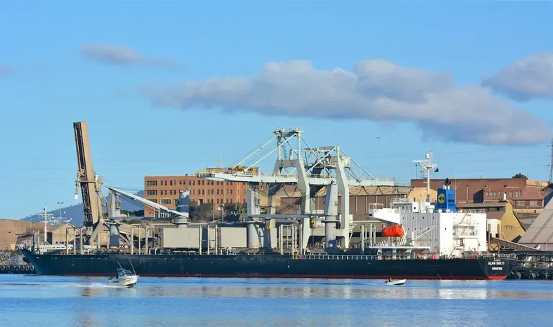 HAPPY HIRO Bulk Carrier IMO 9303390 photo 10
