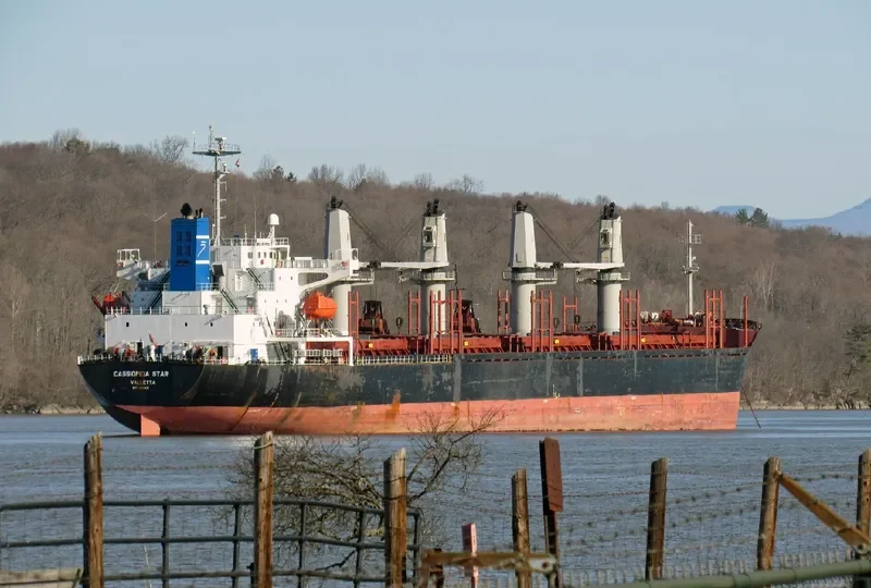 CASSIOPEIA STAR General Cargo IMO 9303431 photo 3