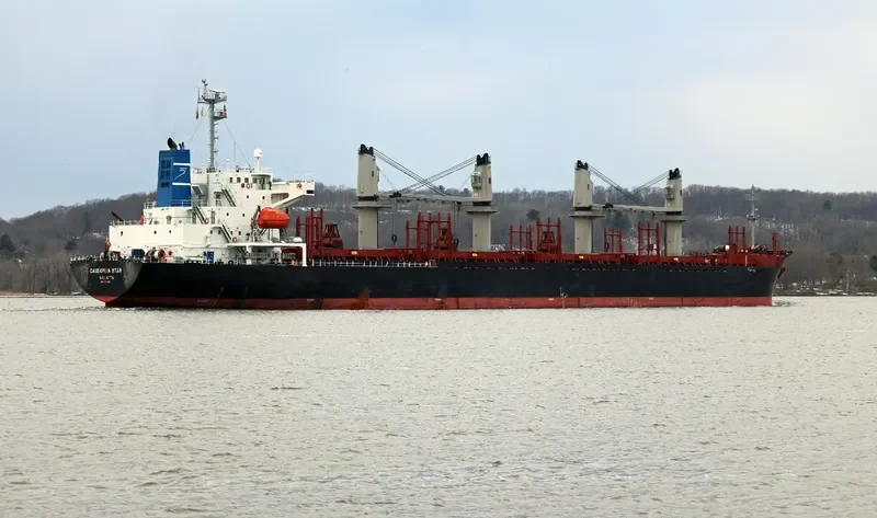 CASSIOPEIA STAR General Cargo IMO 9303431 photo 4