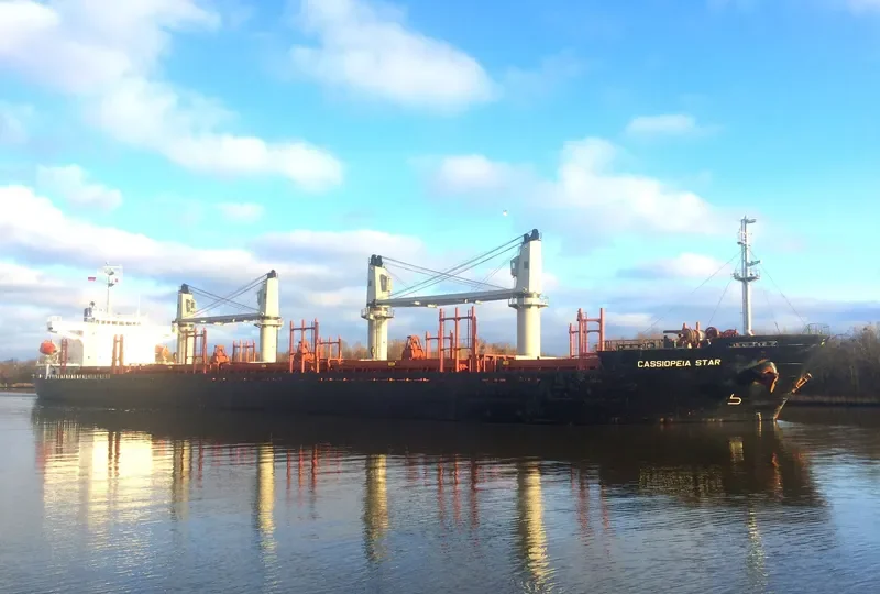 CASSIOPEIA STAR General Cargo IMO 9303431 photo 9