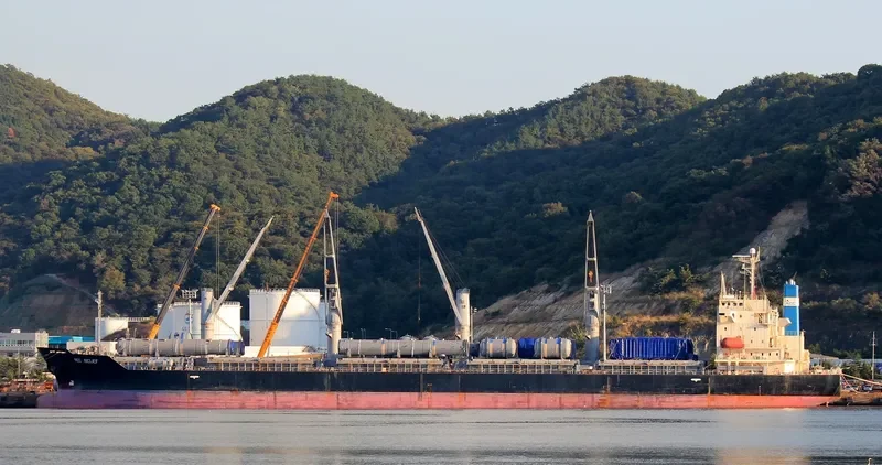 HAI NAM 86 Bulk Carrier IMO 9303601 photo 4