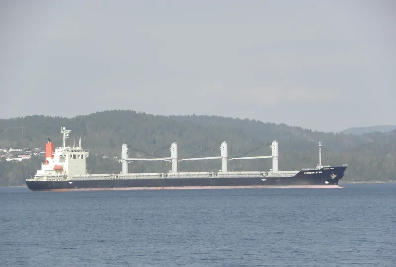 HAI NAM 86 Bulk Carrier IMO 9303601 photo 10