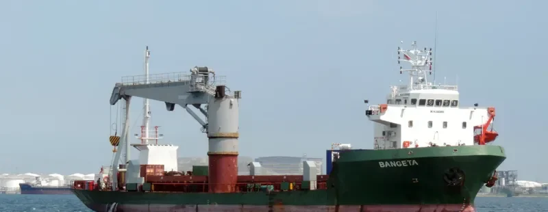 VITIS SPIRIT General Cargo IMO 9303663