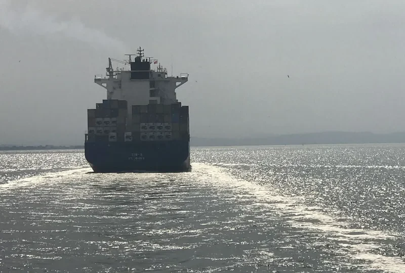 TIM S. Container Ship IMO 9303742 photo 6