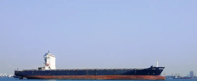 AVNI Container Ship IMO 9303754 photo 7