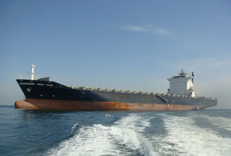 AVNI Container Ship IMO 9303754 photo 9