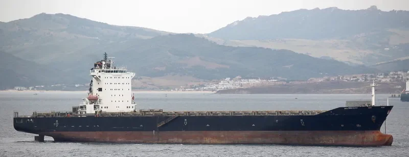 CELSIUS LONDON Container Ship IMO 9303778 photo 10