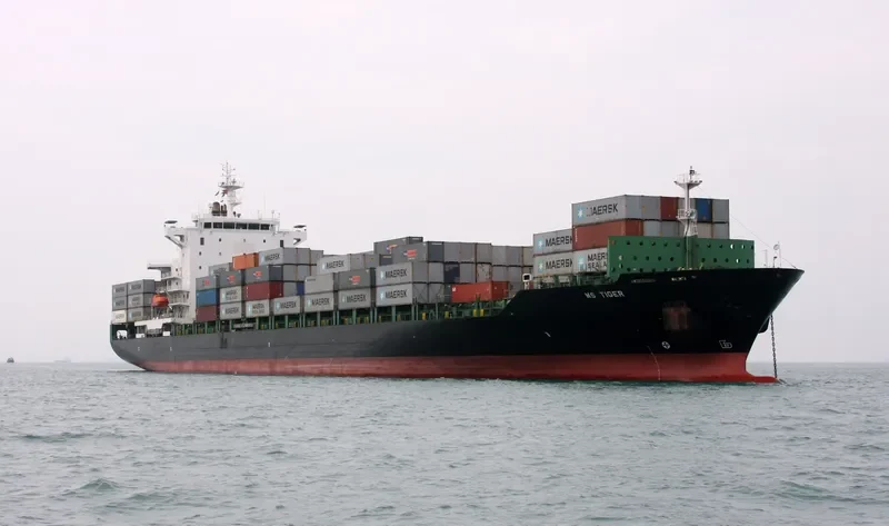 BF TIGER Container Ship IMO 9303792