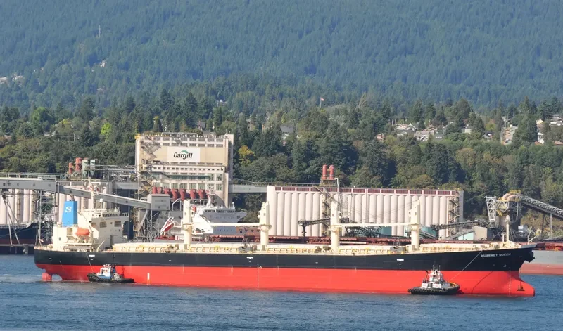 POLA ANISIA Bulk Carrier IMO 9303869