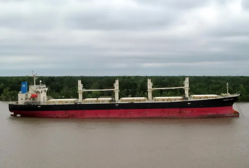 POLA ANISIA Bulk Carrier IMO 9303869 photo 3