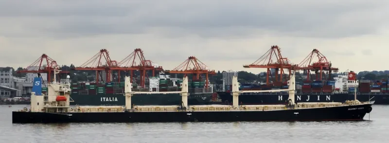 POLA ANISIA Bulk Carrier IMO 9303869 photo 7
