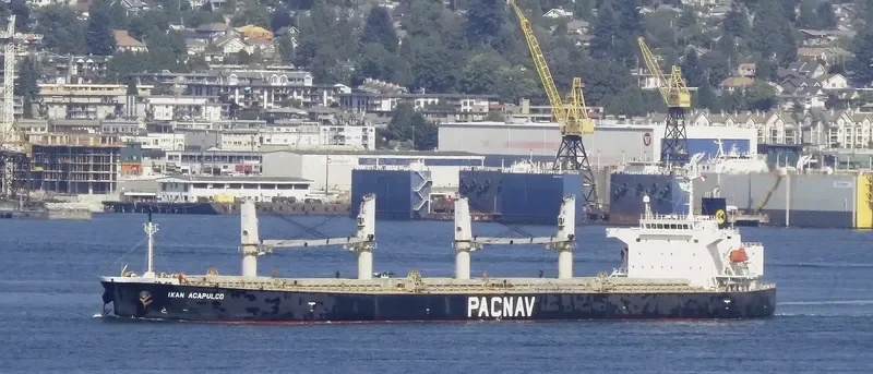 LEON Bulk Carrier IMO 9303871 photo 2