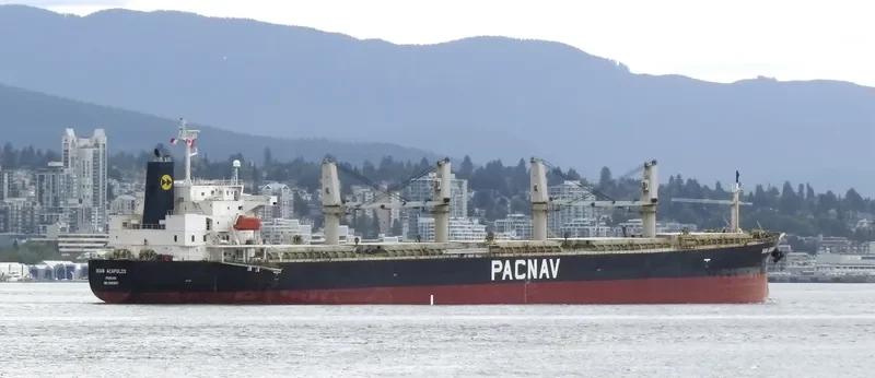 LEON Bulk Carrier IMO 9303871 photo 3