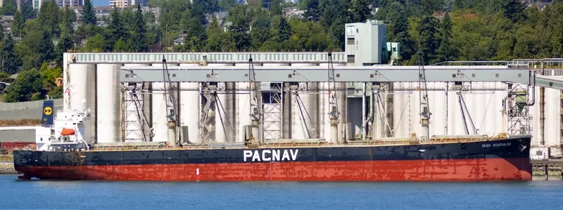 LEON Bulk Carrier IMO 9303871 photo 5