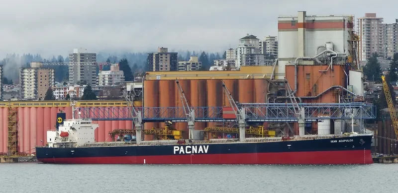 LEON Bulk Carrier IMO 9303871 photo 9