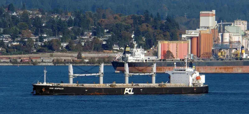 LEON Bulk Carrier IMO 9303871 photo 10
