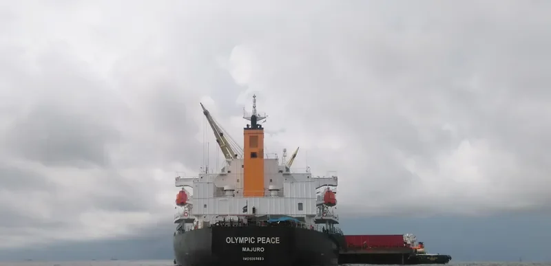 PEACE Bulk Carrier IMO 9303883