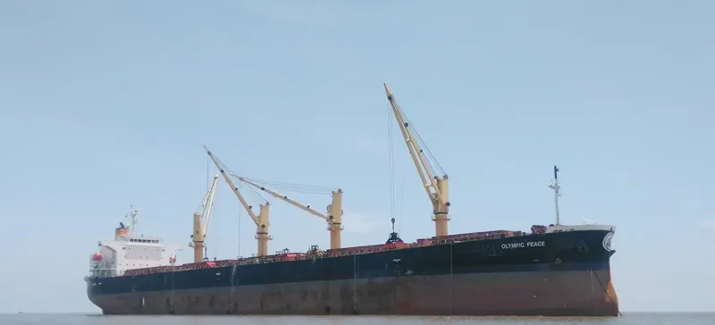 PEACE Bulk Carrier IMO 9303883 photo 2