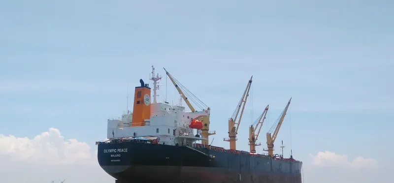 PEACE Bulk Carrier IMO 9303883 photo 3