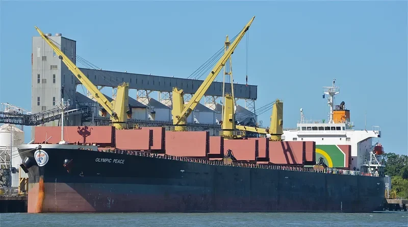 PEACE Bulk Carrier IMO 9303883 photo 4