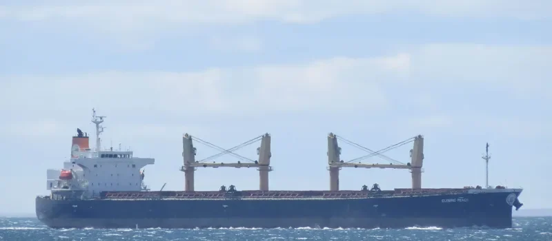 PEACE Bulk Carrier IMO 9303883 photo 5