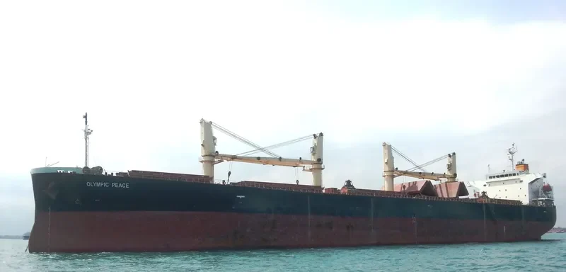 PEACE Bulk Carrier IMO 9303883 photo 7