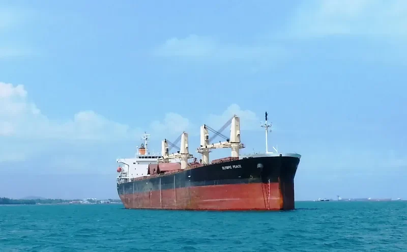PEACE Bulk Carrier IMO 9303883 photo 8