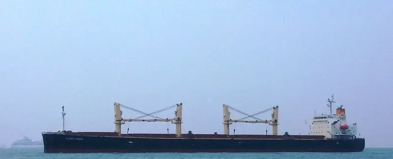 PEACE Bulk Carrier IMO 9303883 photo 9