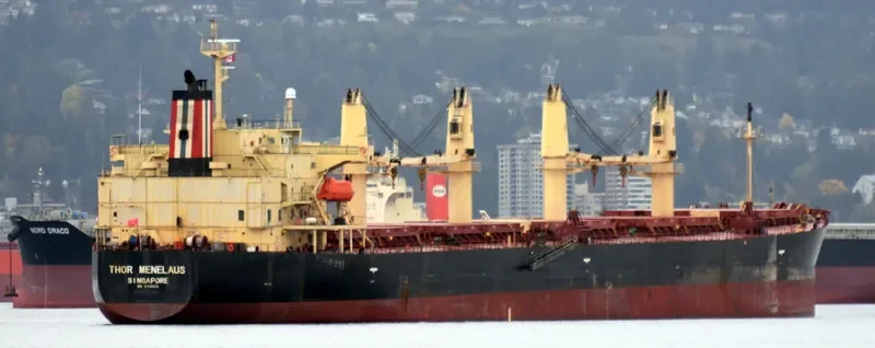 THOR MENELAUS Bulk Carrier IMO 9303924 photo 2