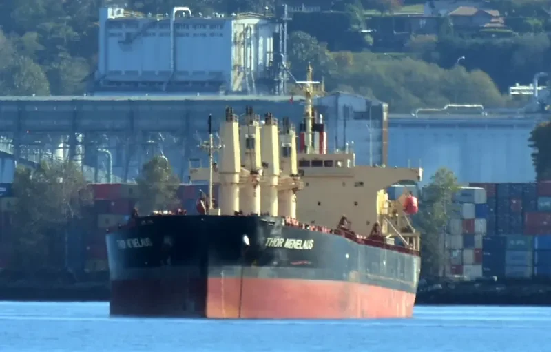 THOR MENELAUS Bulk Carrier IMO 9303924 photo 3