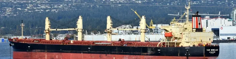 THOR MENELAUS Bulk Carrier IMO 9303924 photo 4