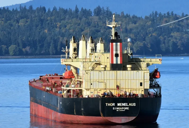 THOR MENELAUS Bulk Carrier IMO 9303924 photo 5