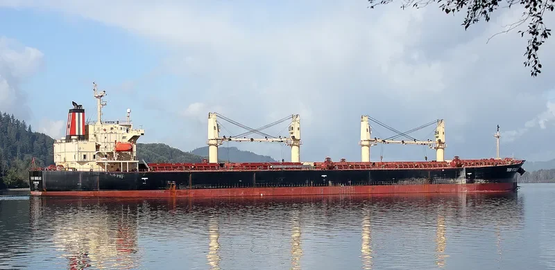THOR MENELAUS Bulk Carrier IMO 9303924 photo 8