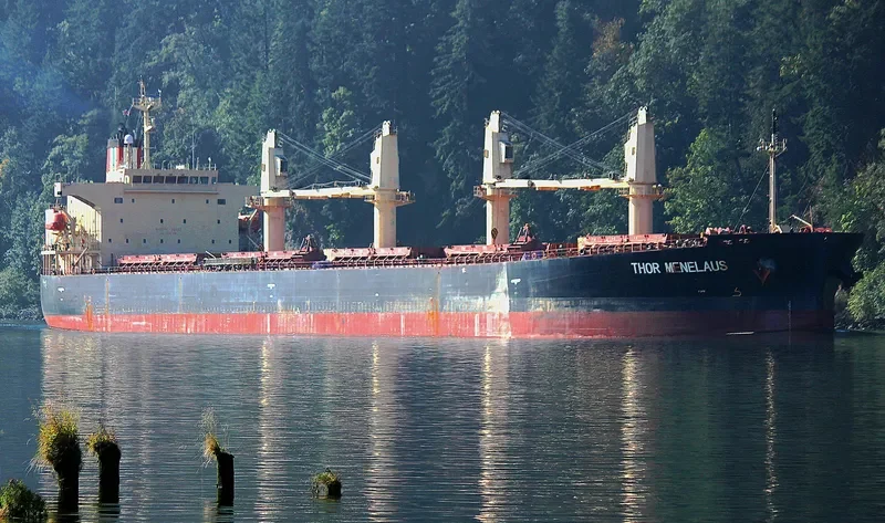 THOR MENELAUS Bulk Carrier IMO 9303924 photo 10
