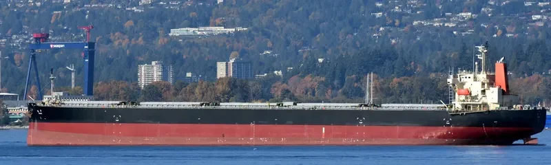 KAIYO Bulk Carrier IMO 9303936 photo 5